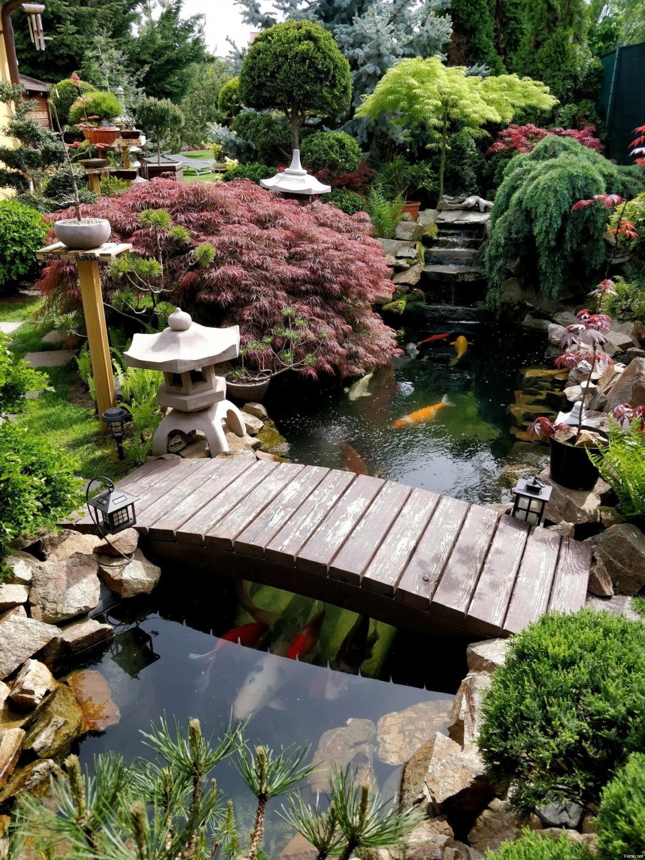 Японский сад в подмосковье ландшафтный дизайн