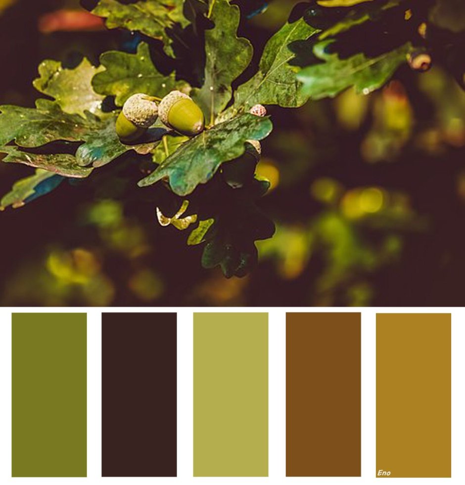 Цветовая палитра зеленый коричневый