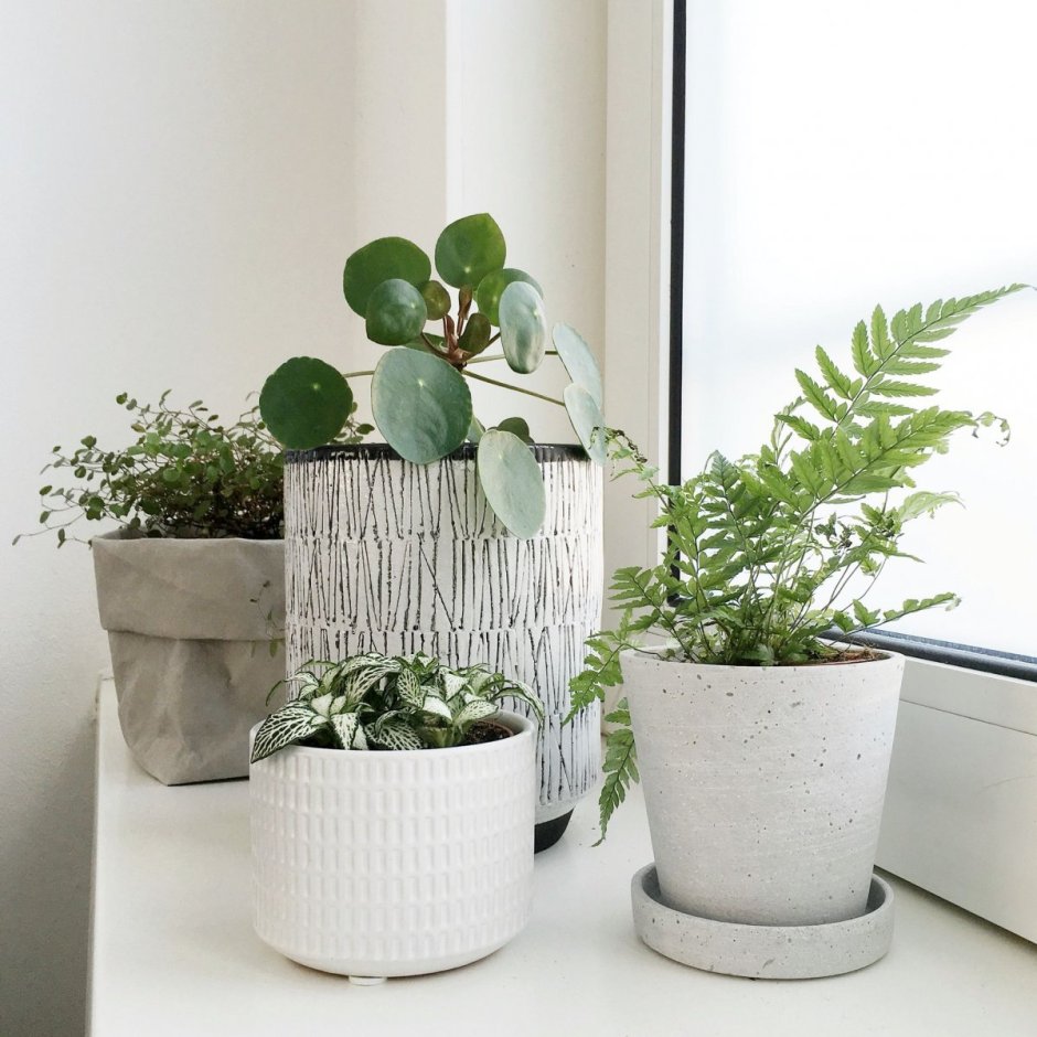 Дизайн горшков чёрно серые