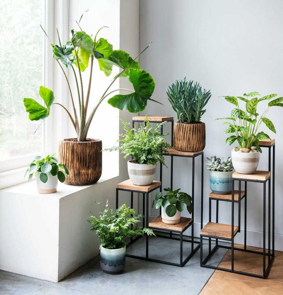 Клумбы из подручных материалов