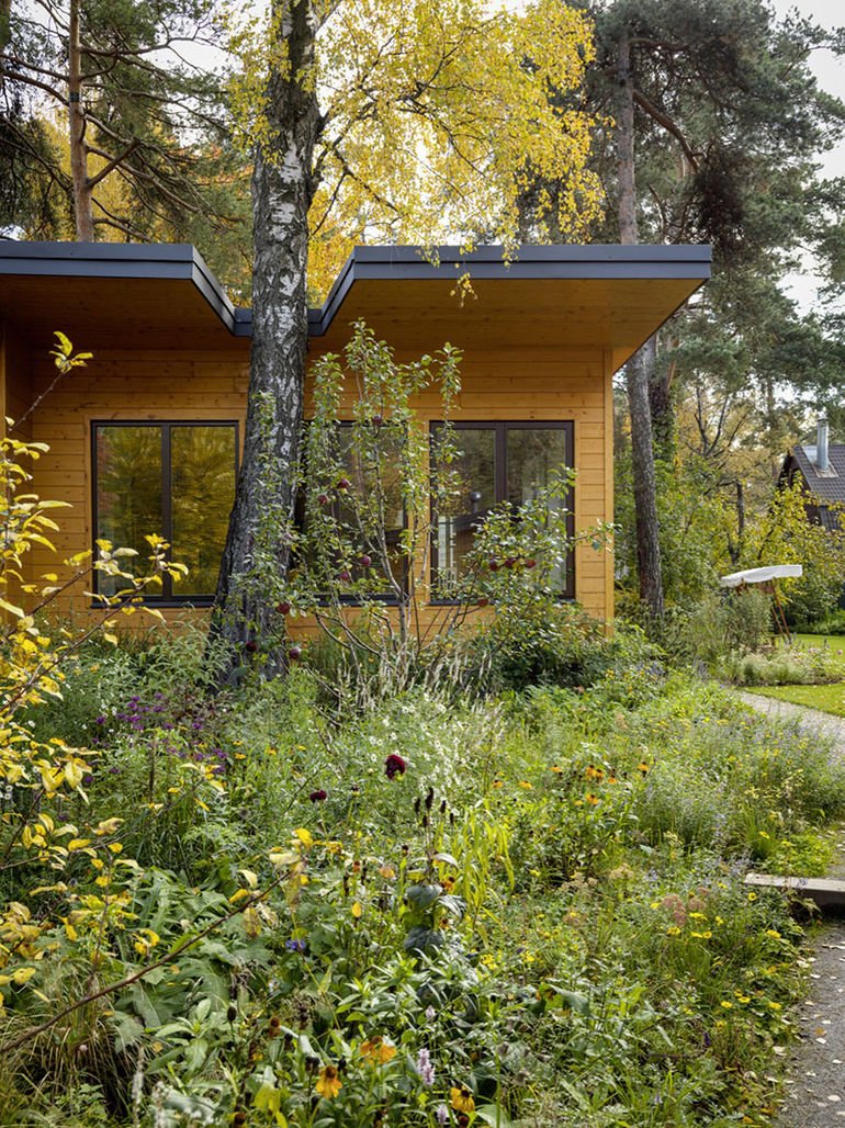 Дача журналиста Евгении Микулиной в Кратово