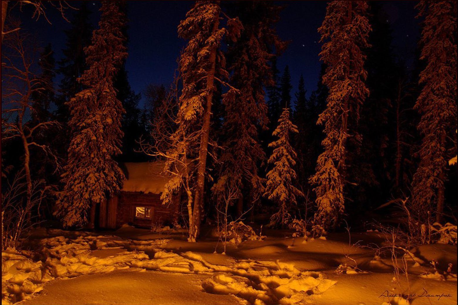 Ночь в тайге рассказ. Зимний лес ночью. Тайга ночью. Зимний лес вечером. Ночной лес Тайга.
