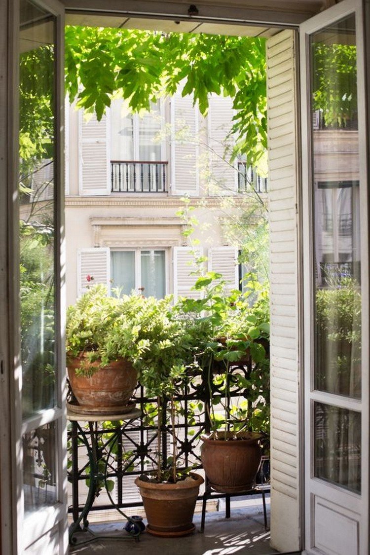 Красивый балкон с растениями