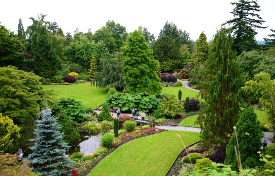 Хвойные сады Яна сламы