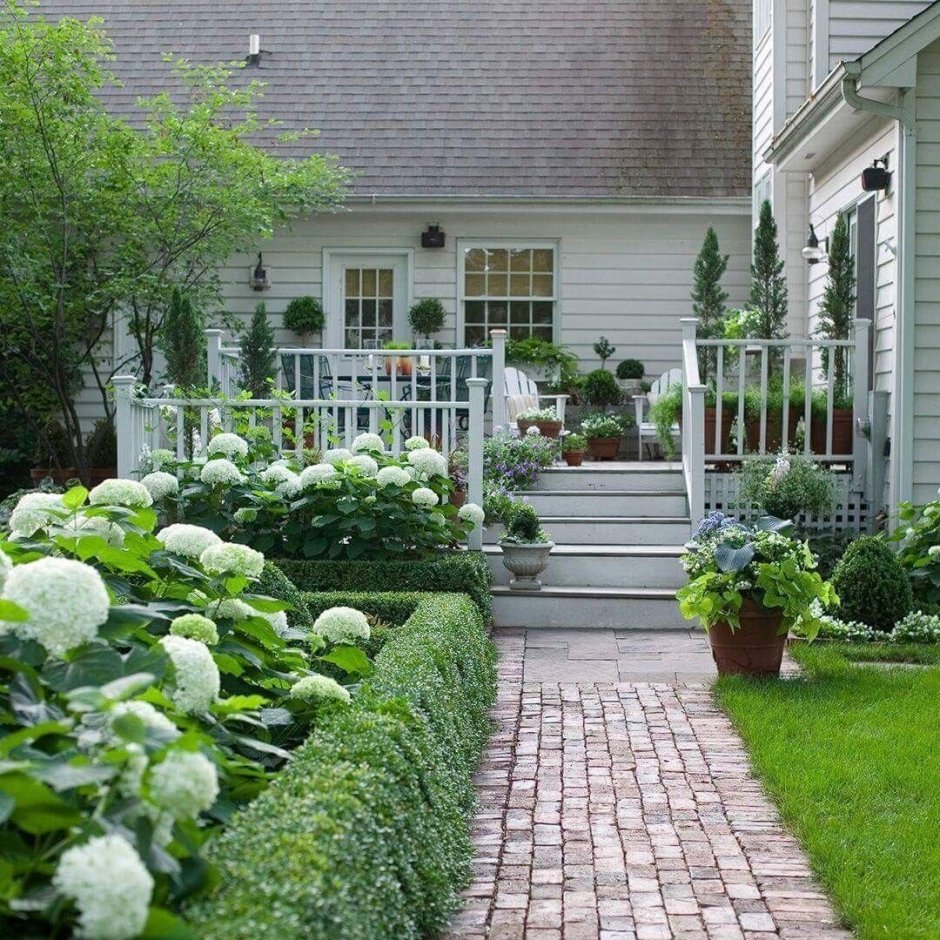 Кустарники вдоль дорожки к дому из России