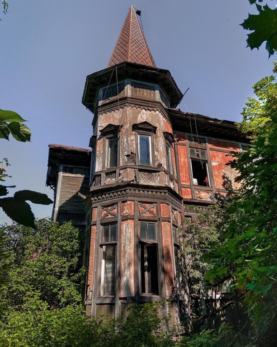 Дача Шауба Ольгино