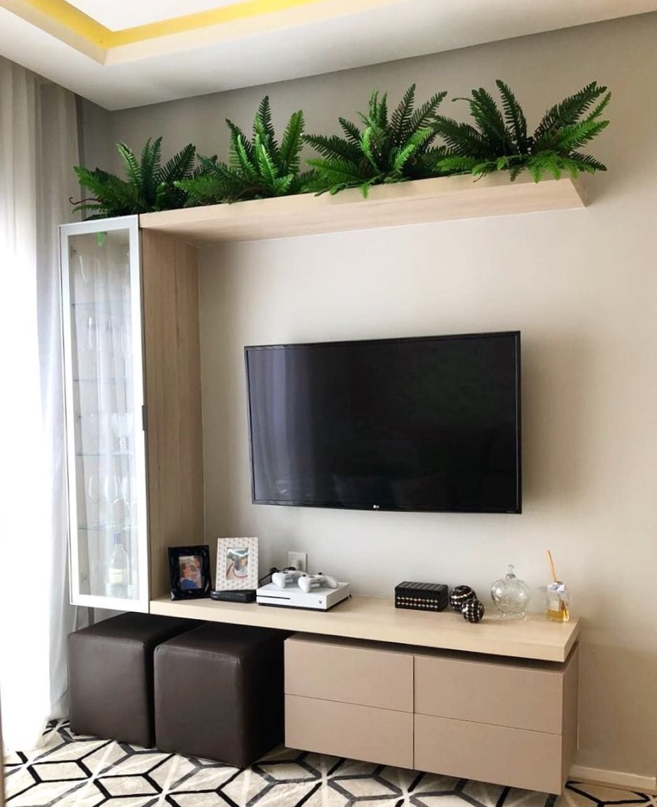 Растения на полку над телевизором