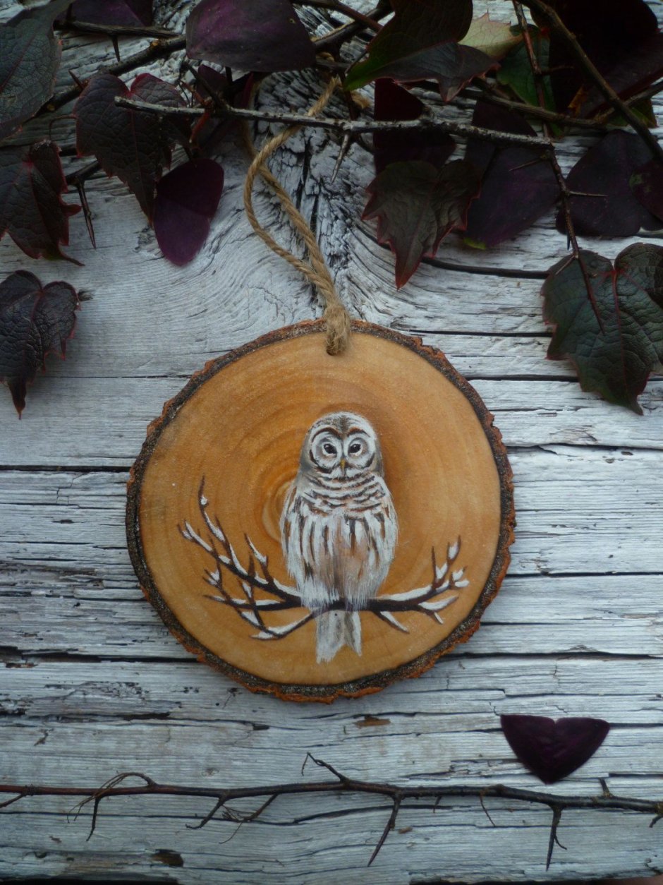 Сова на деревянном спиле