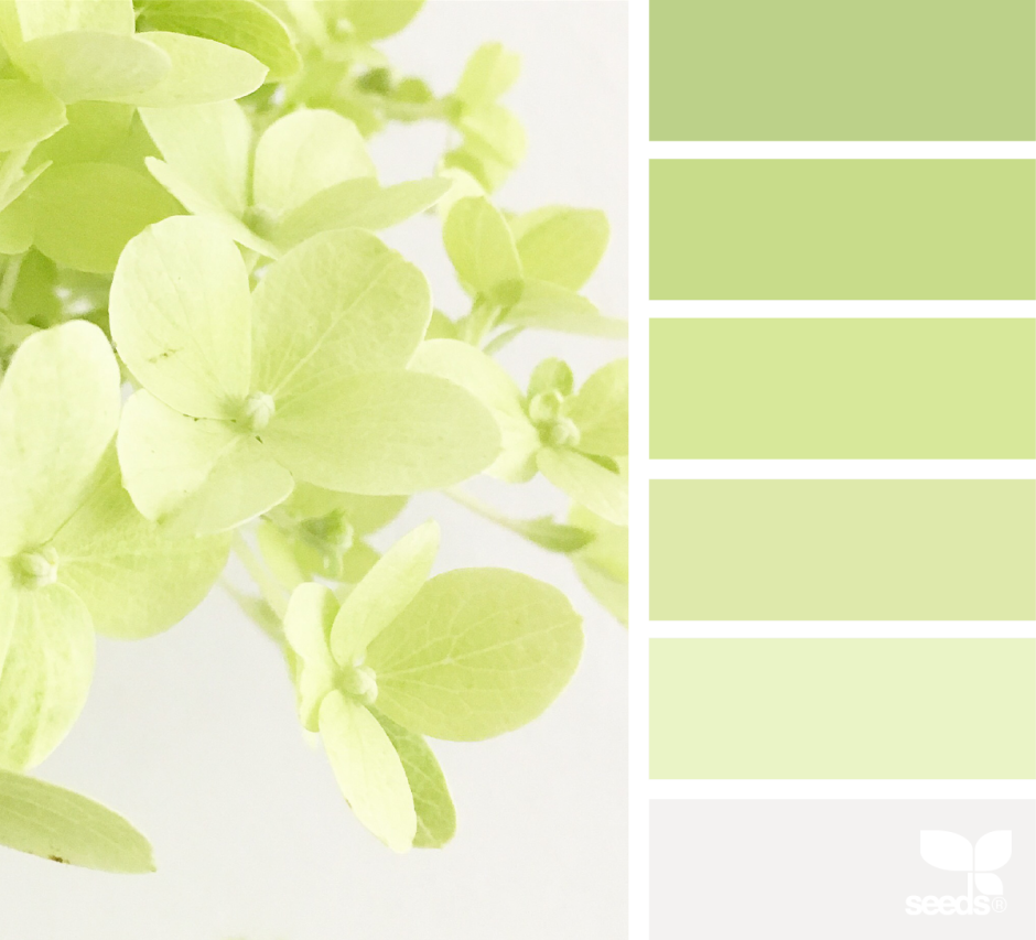 Палитра оттенков фисташковый олива