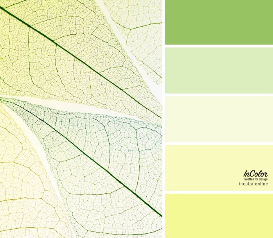 Пастельный зеленый цвет