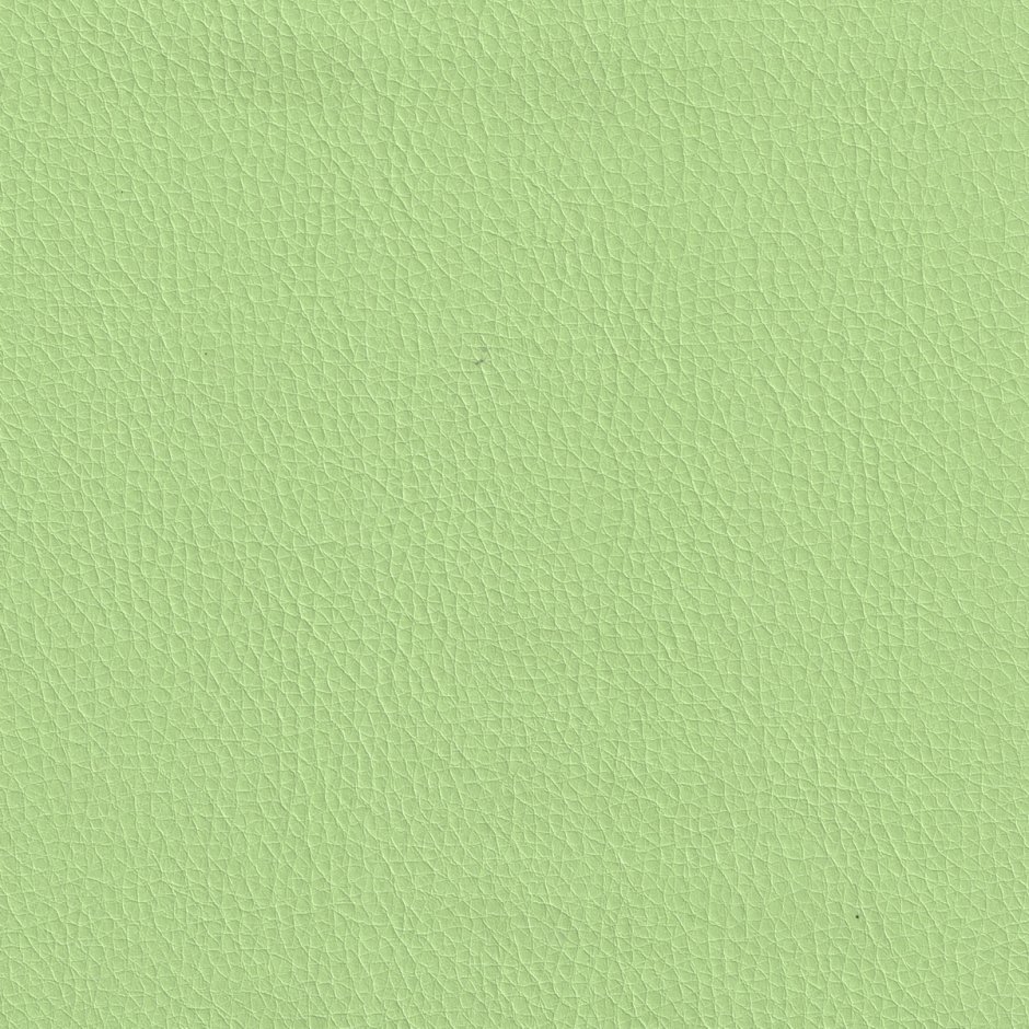 Фисташковый цвет