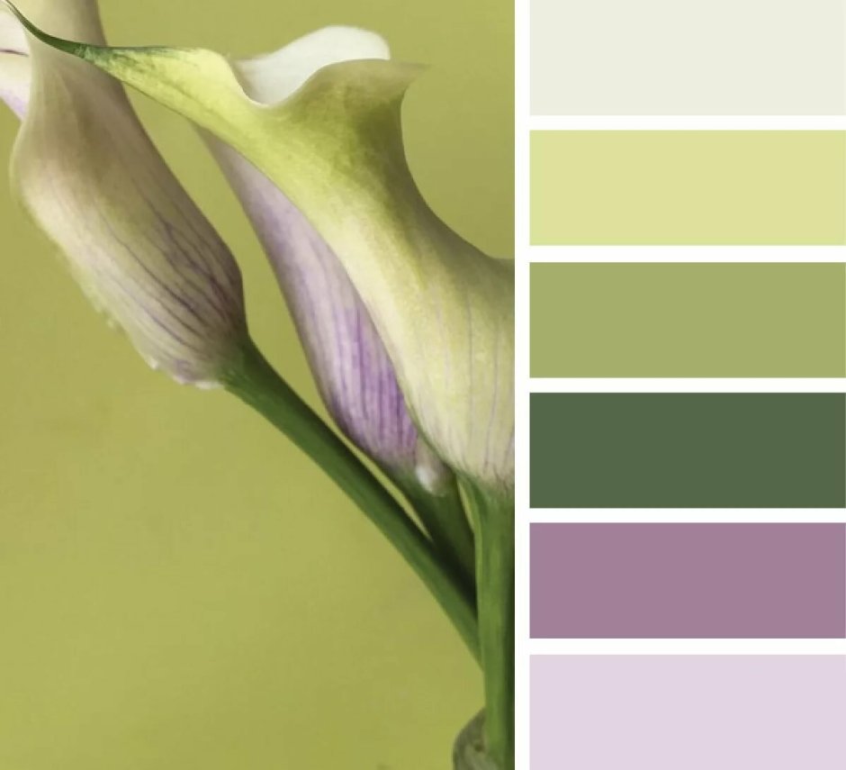 Лемонграсс цветовая палитра