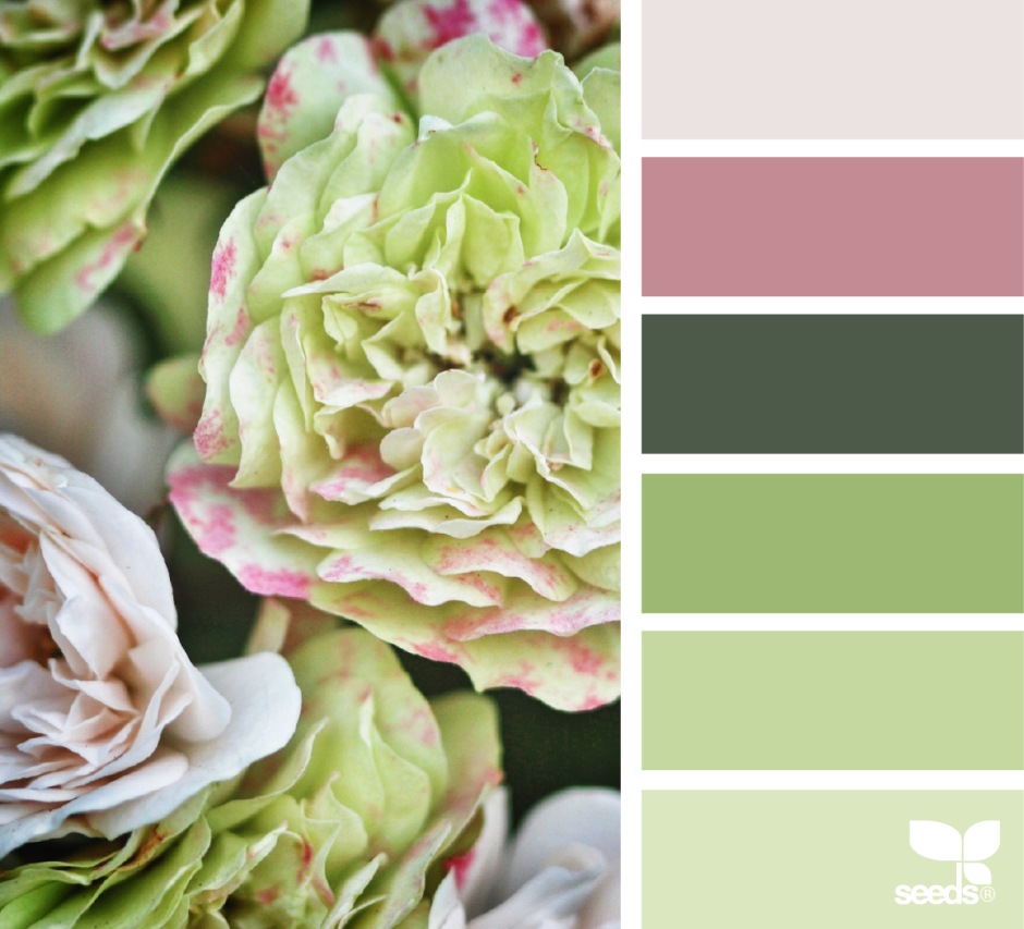 Палитра фисташковых оттенков