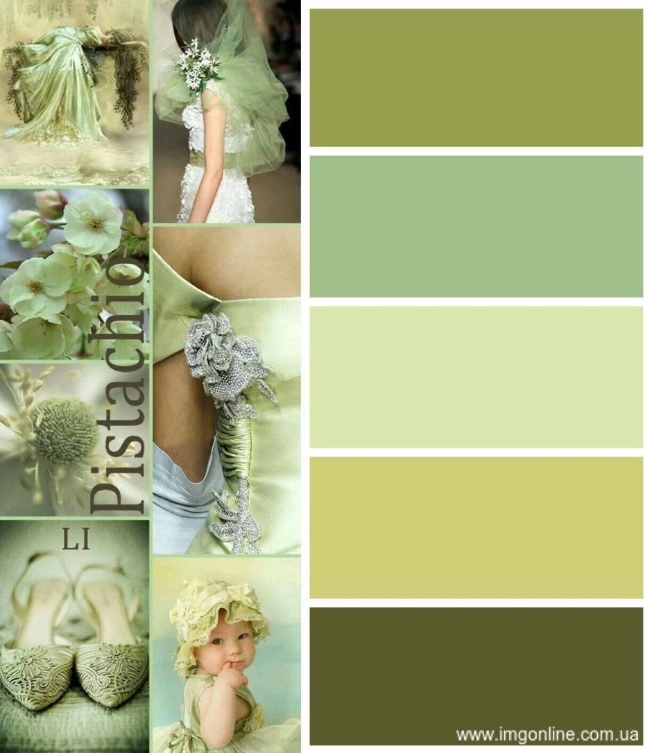 Оттенки фисташкового цвета