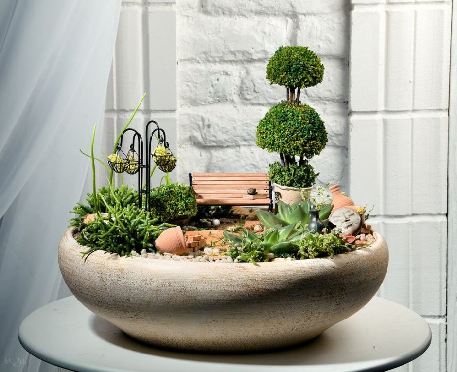 Минисад Aqua simple