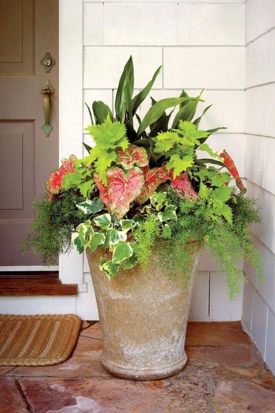 Композиции из комнатных растений