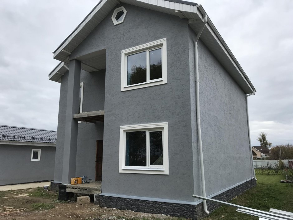 Серый дом короед