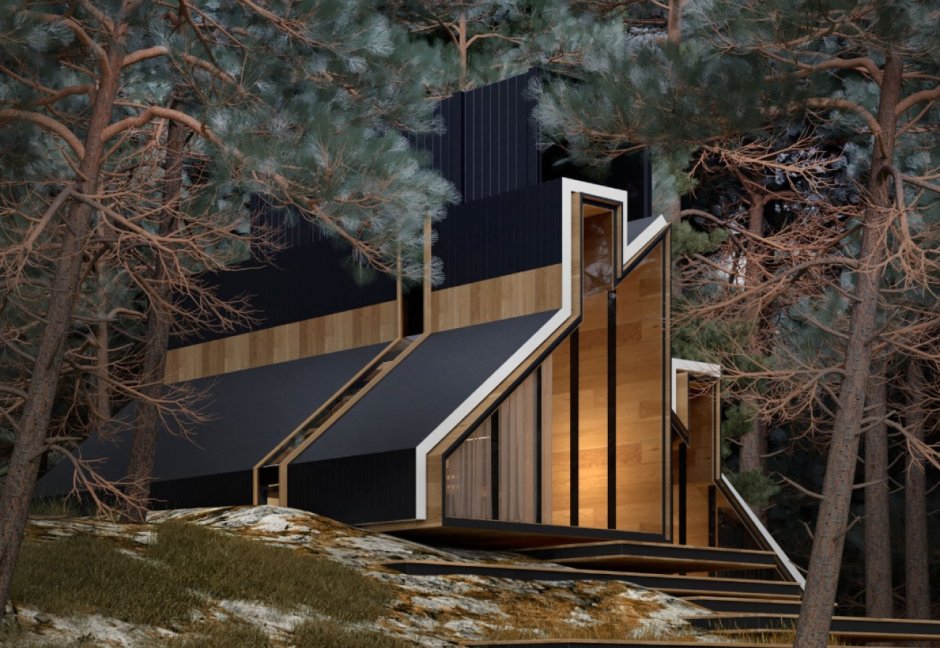 Архитектура Alex Nerovnya дом в лесу