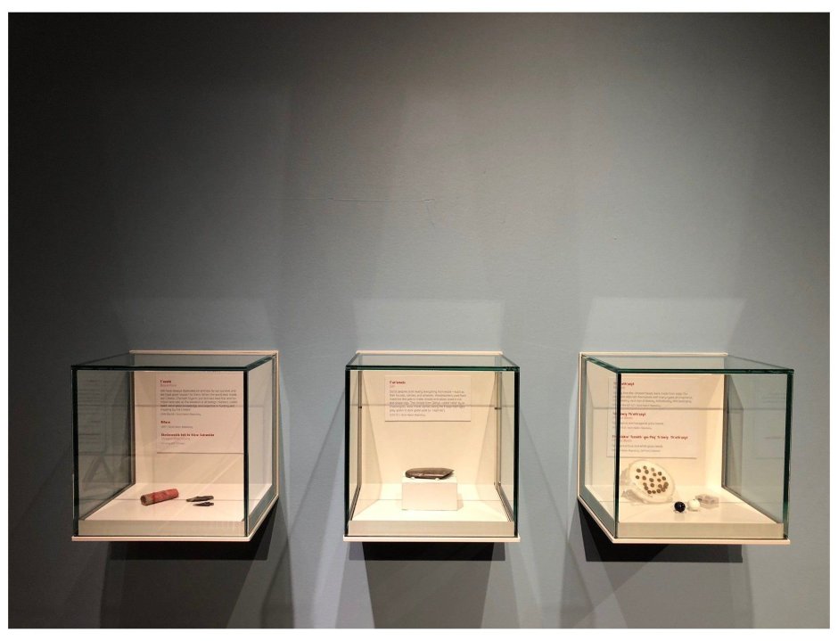 Настенные витрины для музеев