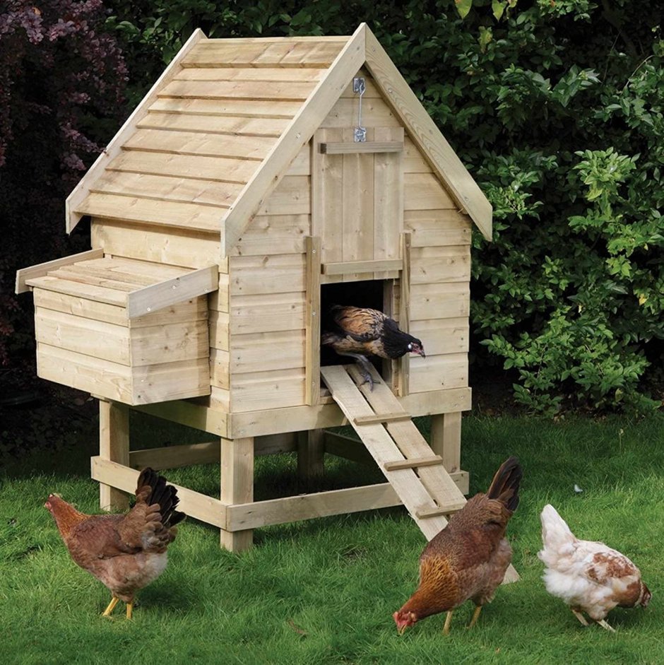 Маленький домик для кур