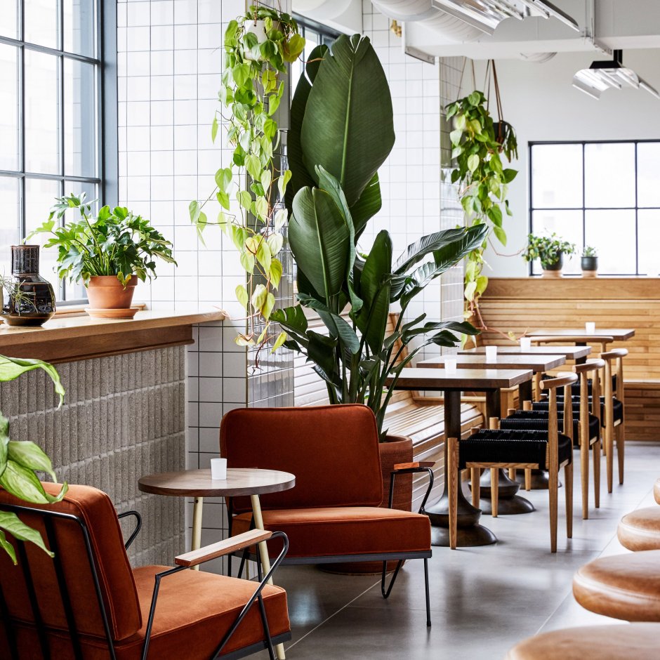 Ресторан с живыми растениями