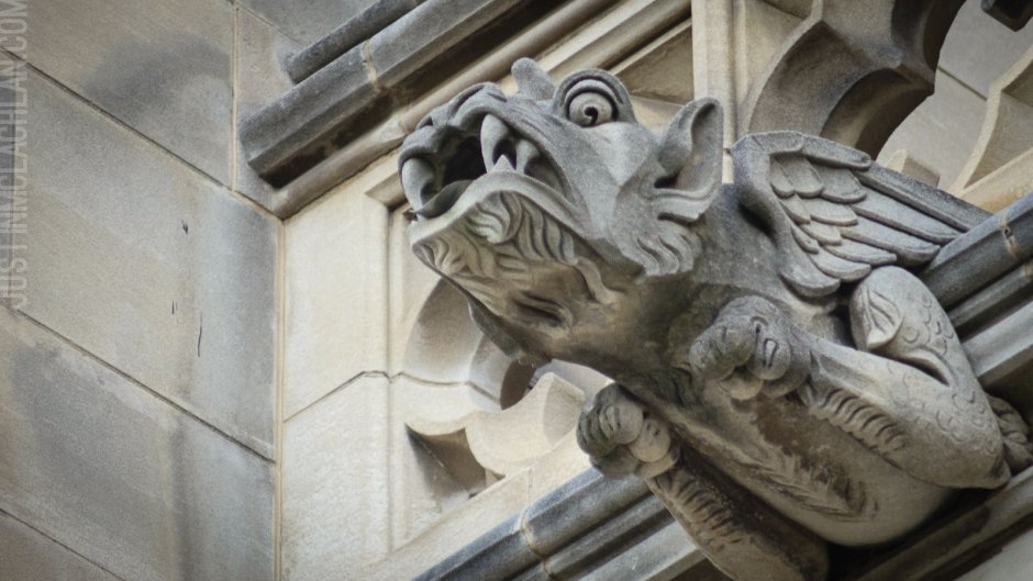 Вашингтонский кафедральный собор Горгулья