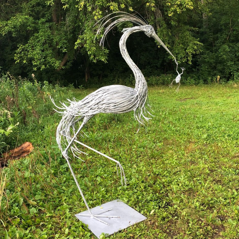 Цапля в Новосибирске