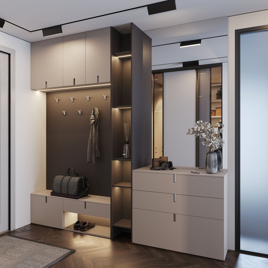 Шкаф в прихожую Мистер Дорс