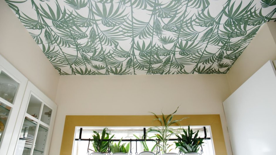 Обои в Оби на потолок