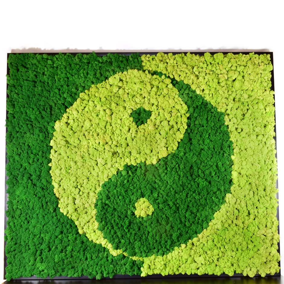 Узор из мха