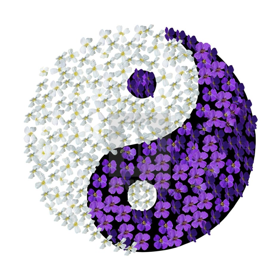 Цветник Инь Янь