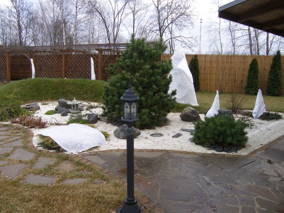 Альпийская горка на зиму укрывать туи форум