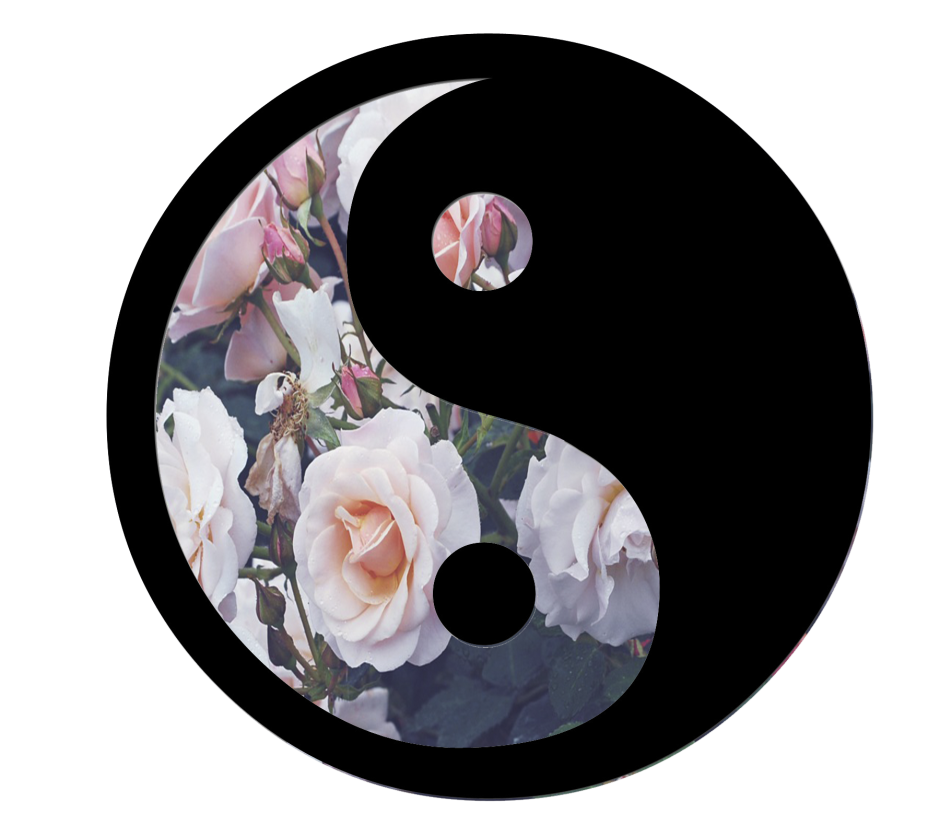 Арты в круге