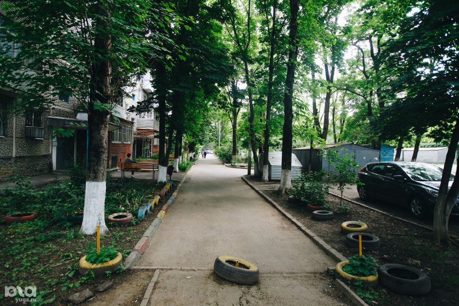 Зеленые дворы хрущевок