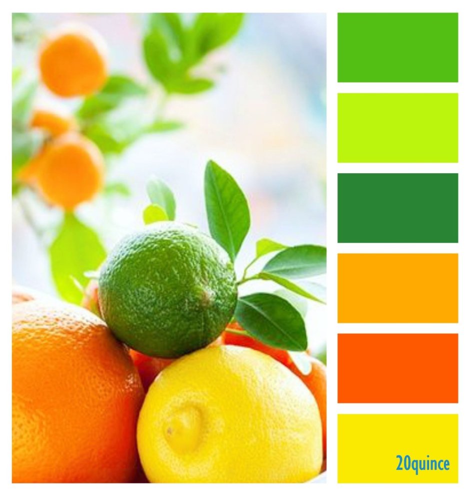 Сочетание цветов оранжевый и зеленый