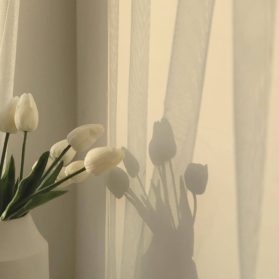 Эстетика белого цвета