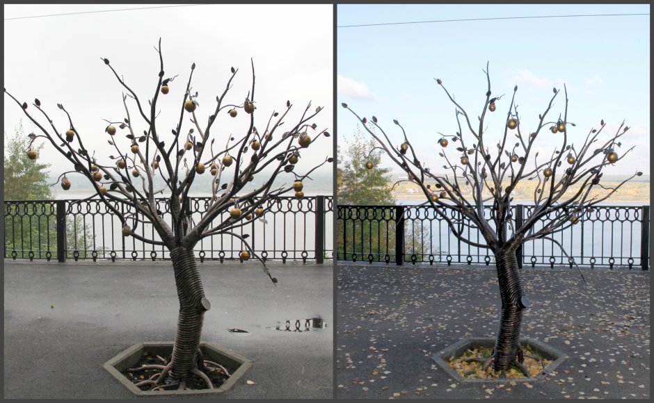 Металлическое дерево желаний