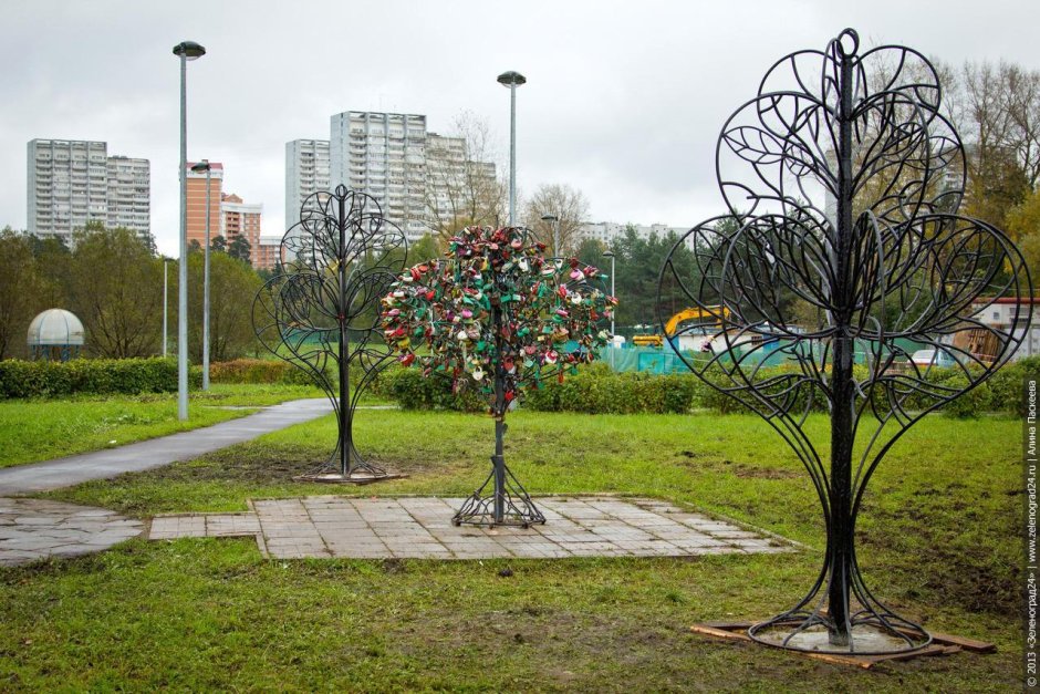 Аллея Вязов Зеленоград