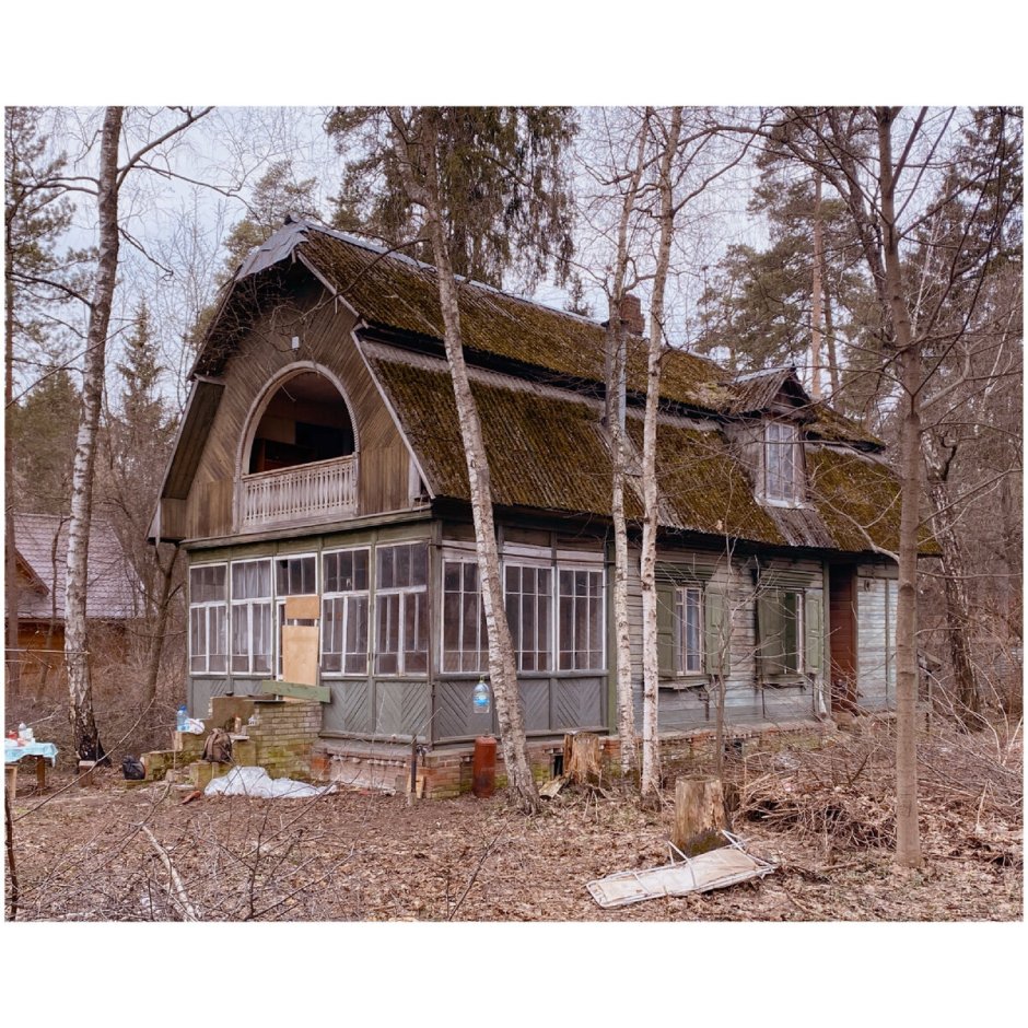 Федор Савинцев Кратовские дачи