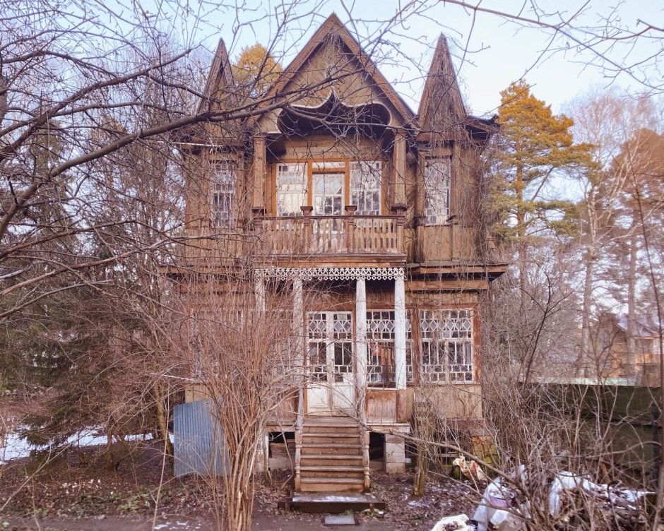 Кратовские дачи в фотопроекте Федора Савинцева