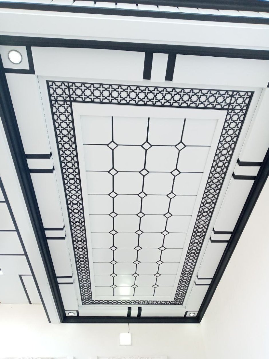 Тунукафон потолок