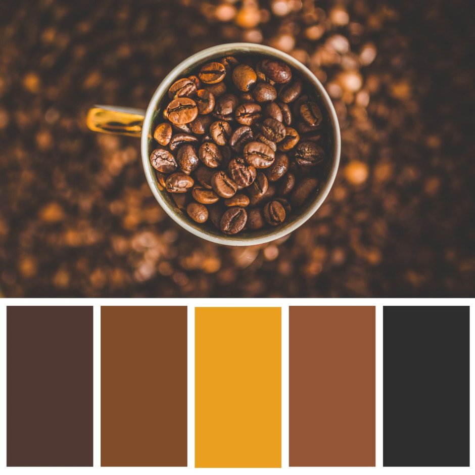 Палитры цветов коричневый
