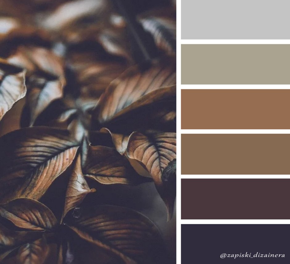 Коричневая палитра