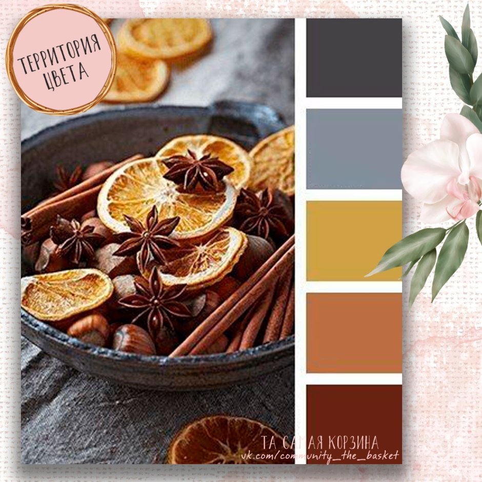 Сочетание цветов с коричневым