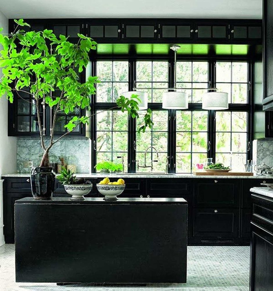 Кухня в черном цвете