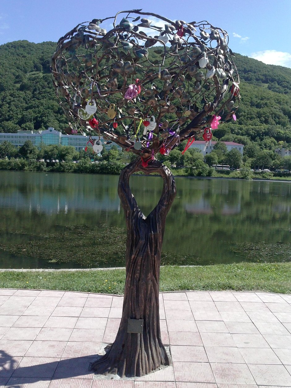 Дерево любви в Адлере