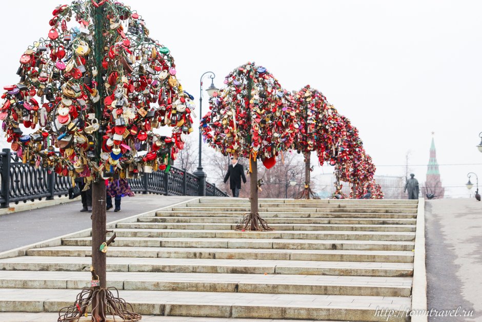 Дерево любви в Москве Лужков мост