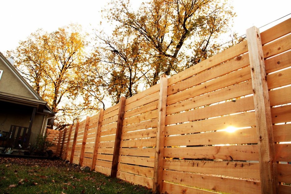Двойной деревянный забор