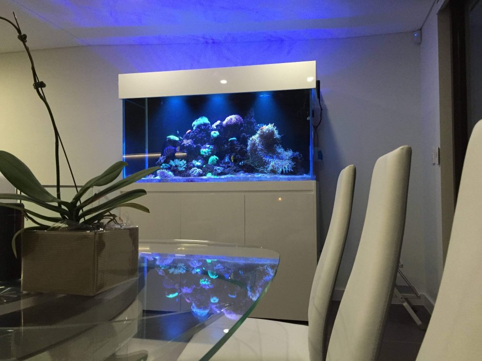 Плоский аквариум на стену