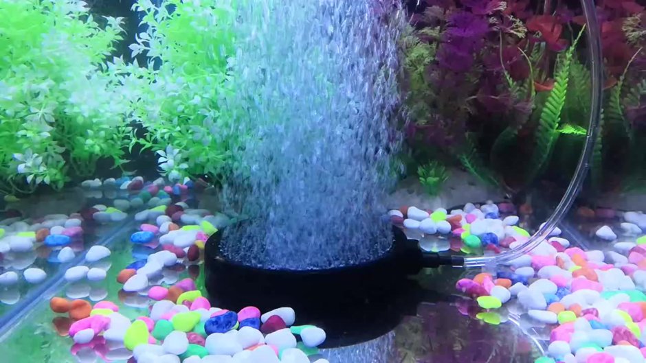 Круглый аквариум